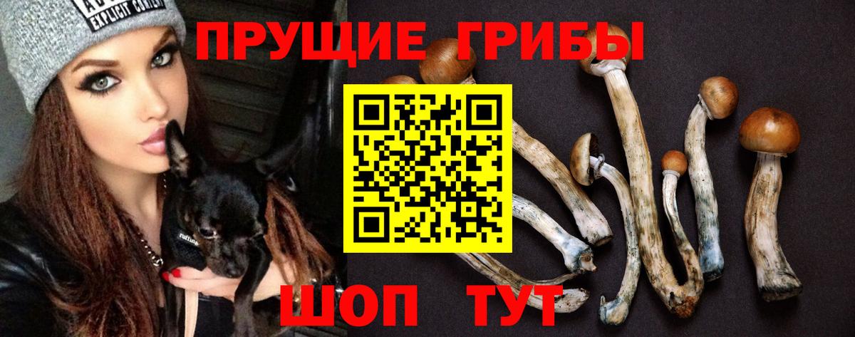 Галлюциногенные грибы MAGIC MUSHROOMS  Вход с VPN  Псилоцибиновые грибы Psilocybe  Фрязино 