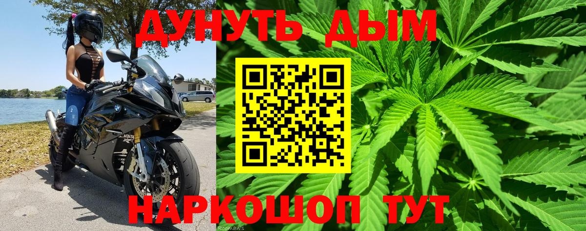 Конопля марихуана Фрязино